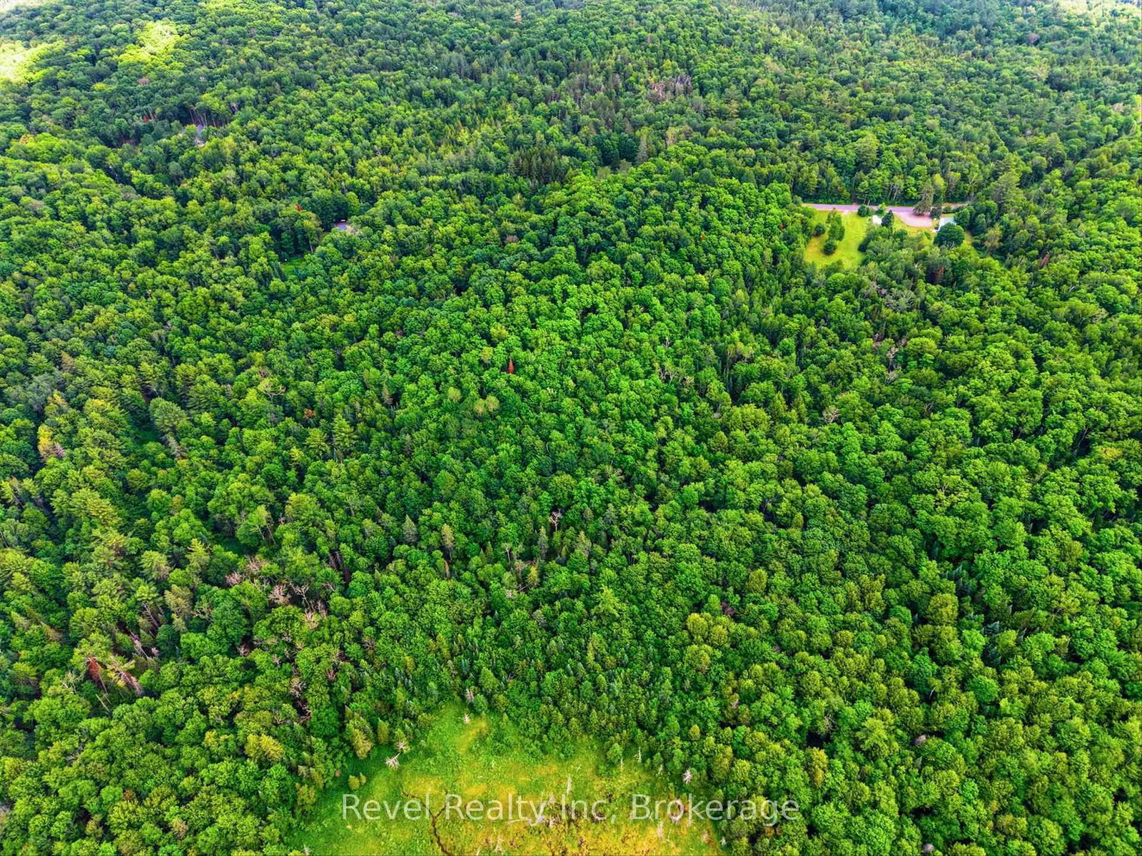 LOT 1 Bird Lake Road • Bracebridge, ON photo 7