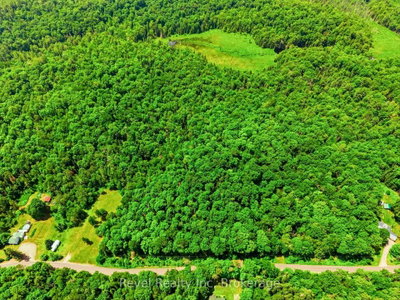LOT 1 Bird Lake Road • Bracebridge, ON photo 8