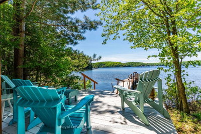 1349 Trellis Trail