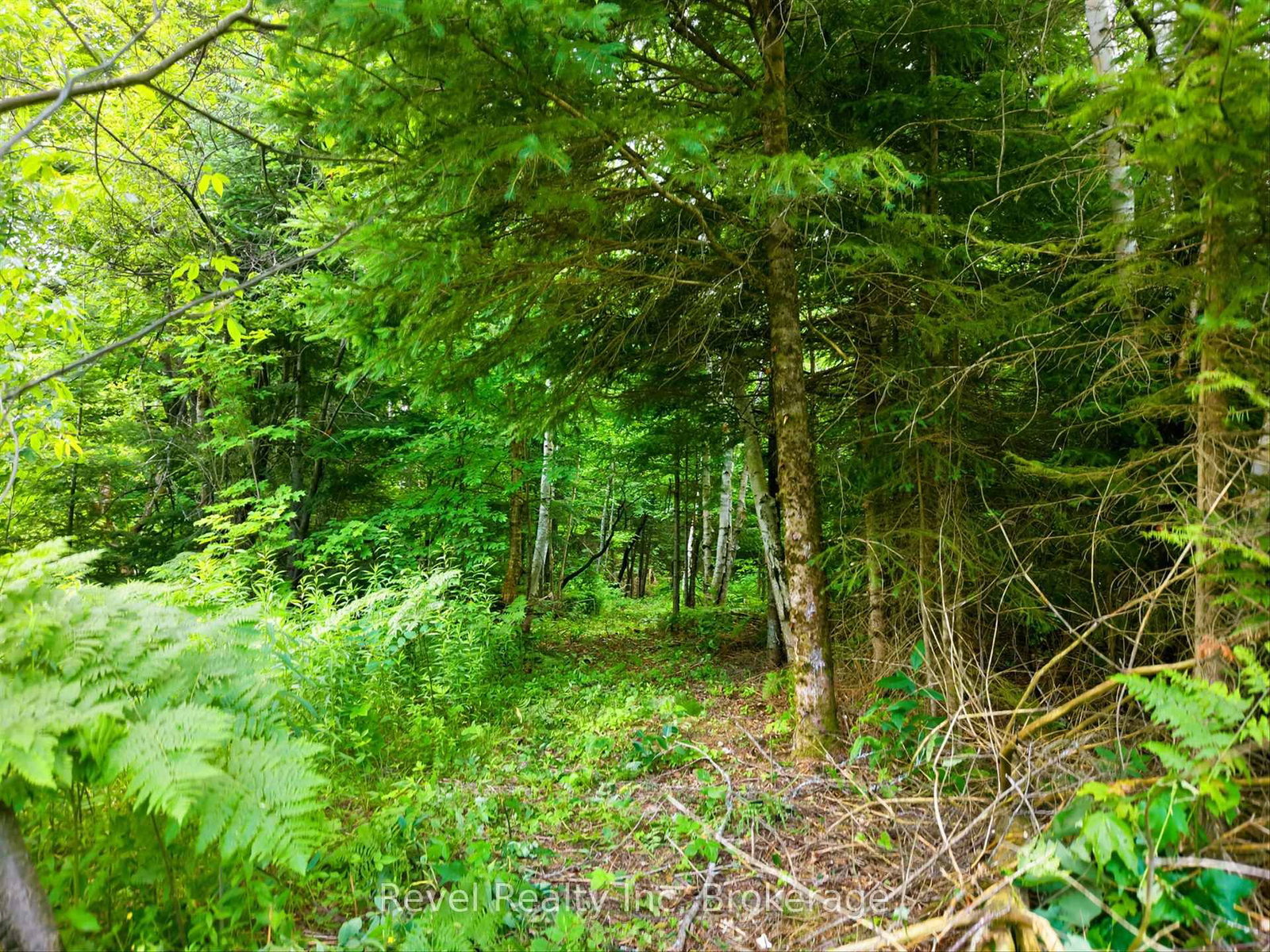 LOT 2 Bird Lake Road • Bracebridge, ON photo 11