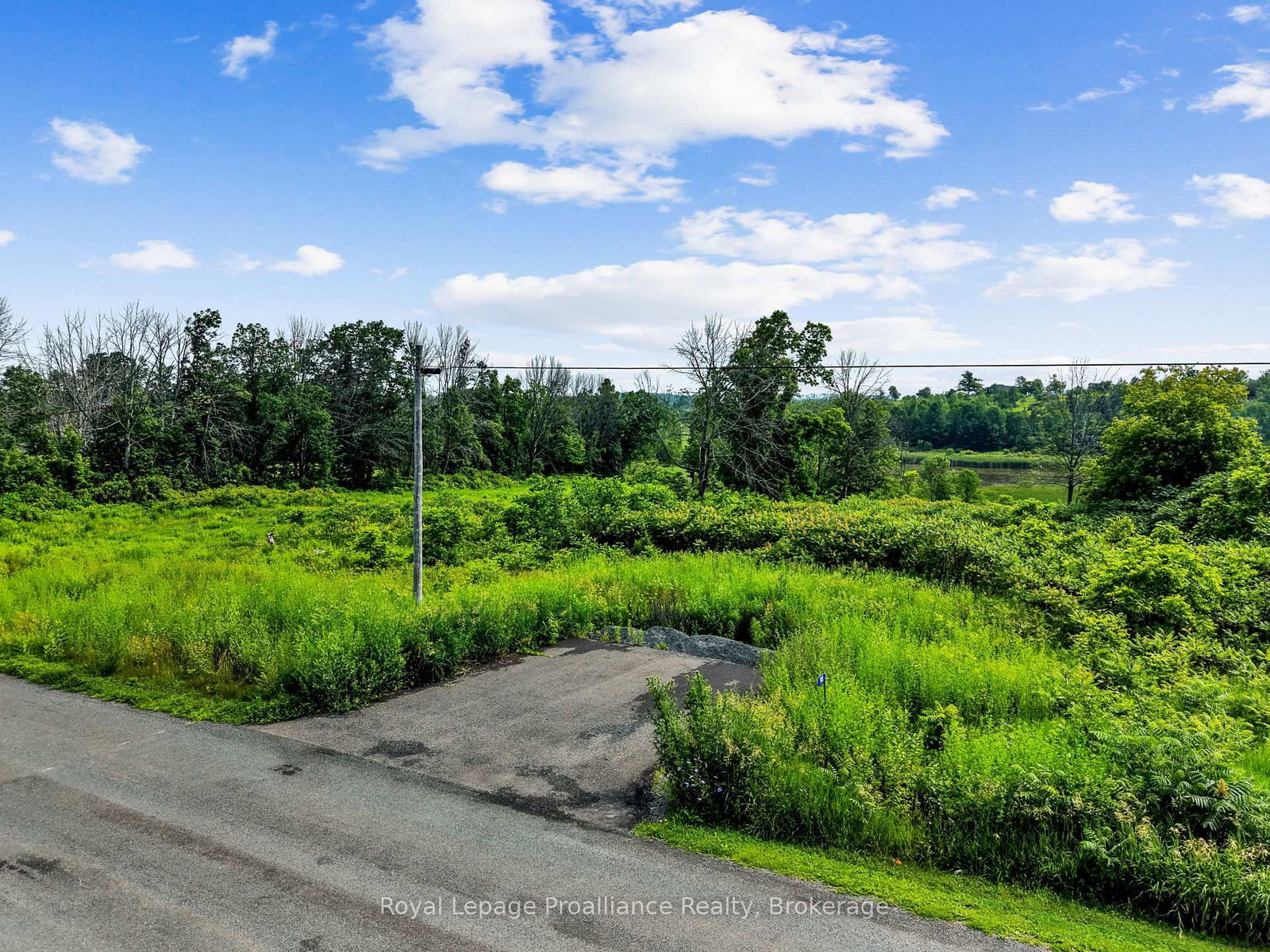 141 Portage Street • Trent Hills, ON photo 7