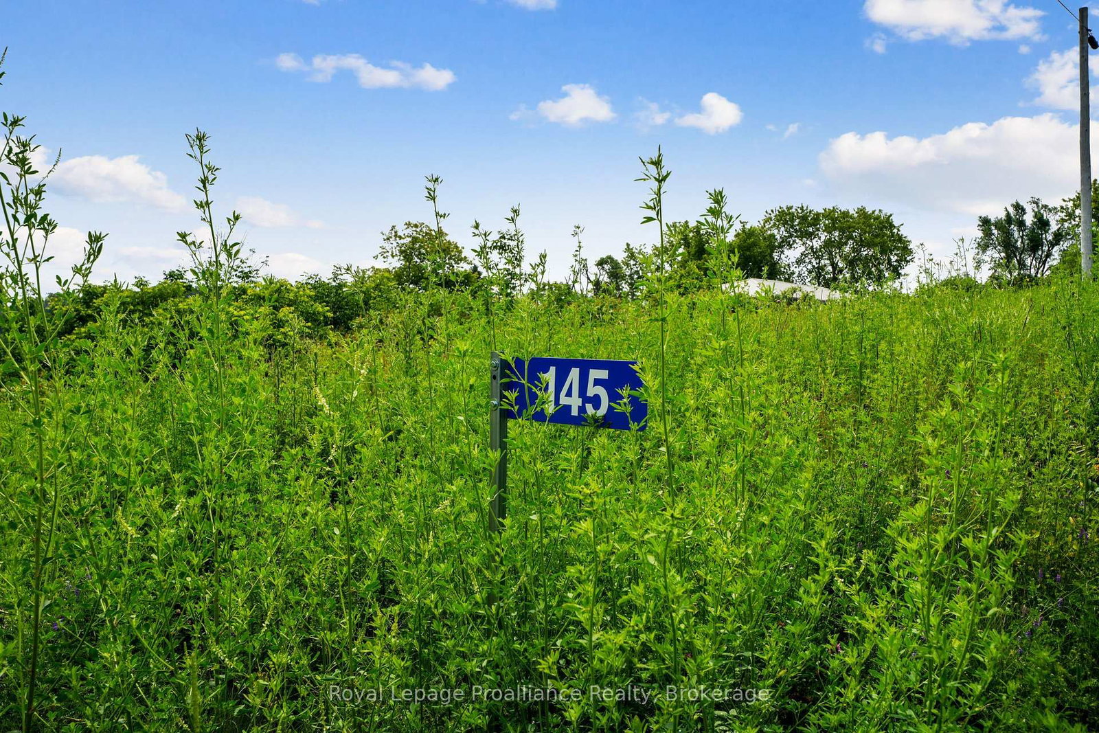 145 Portage Street • Trent Hills, ON photo 4