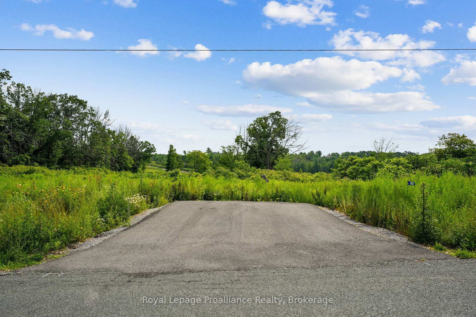 145 Portage Street • Trent Hills, ON photo 5