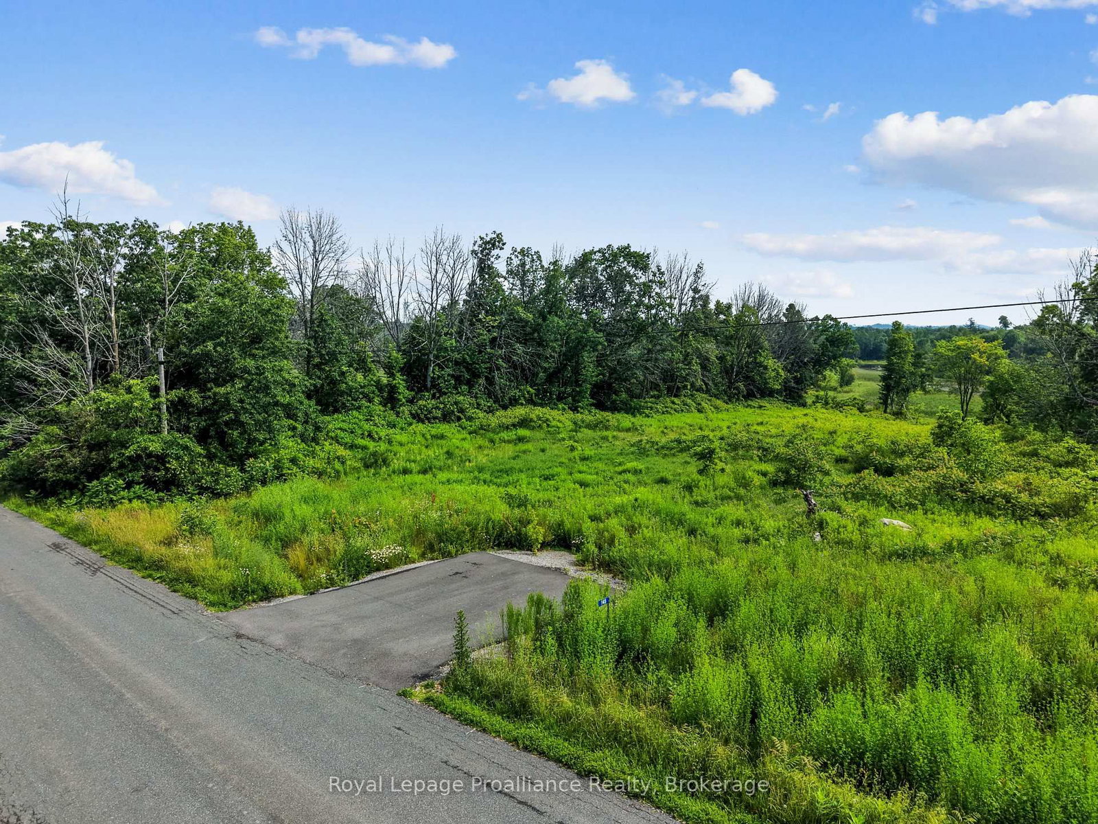 145 Portage Street • Trent Hills, ON photo 6