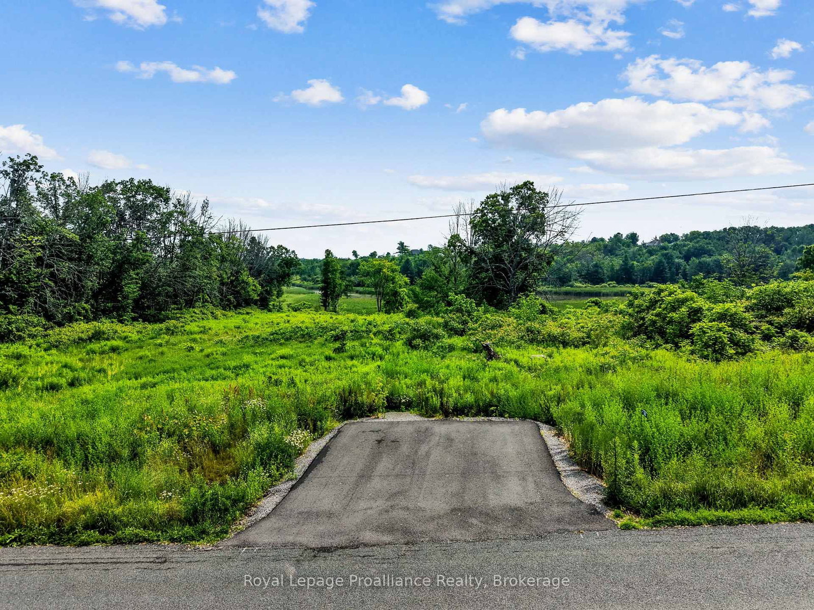 145 Portage Street • Trent Hills, ON photo 7