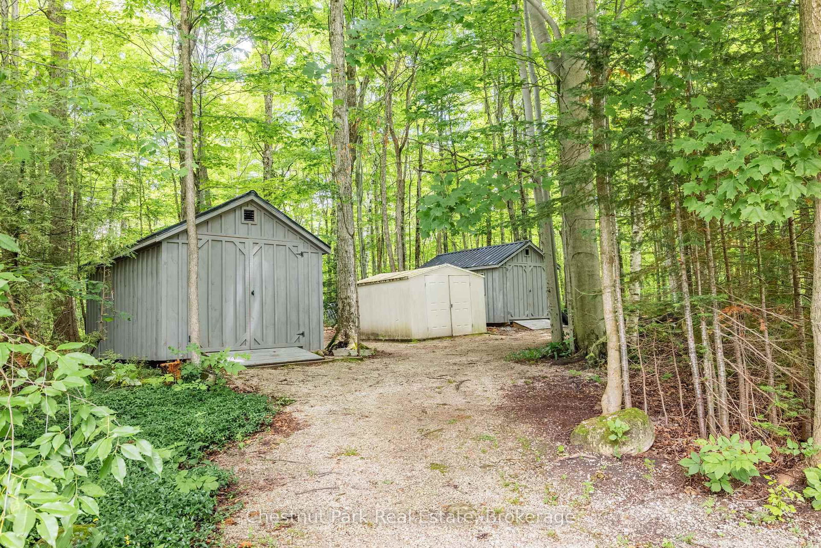 280134 Sideroad 15 • Georgian Bluffs, ON photo 39
