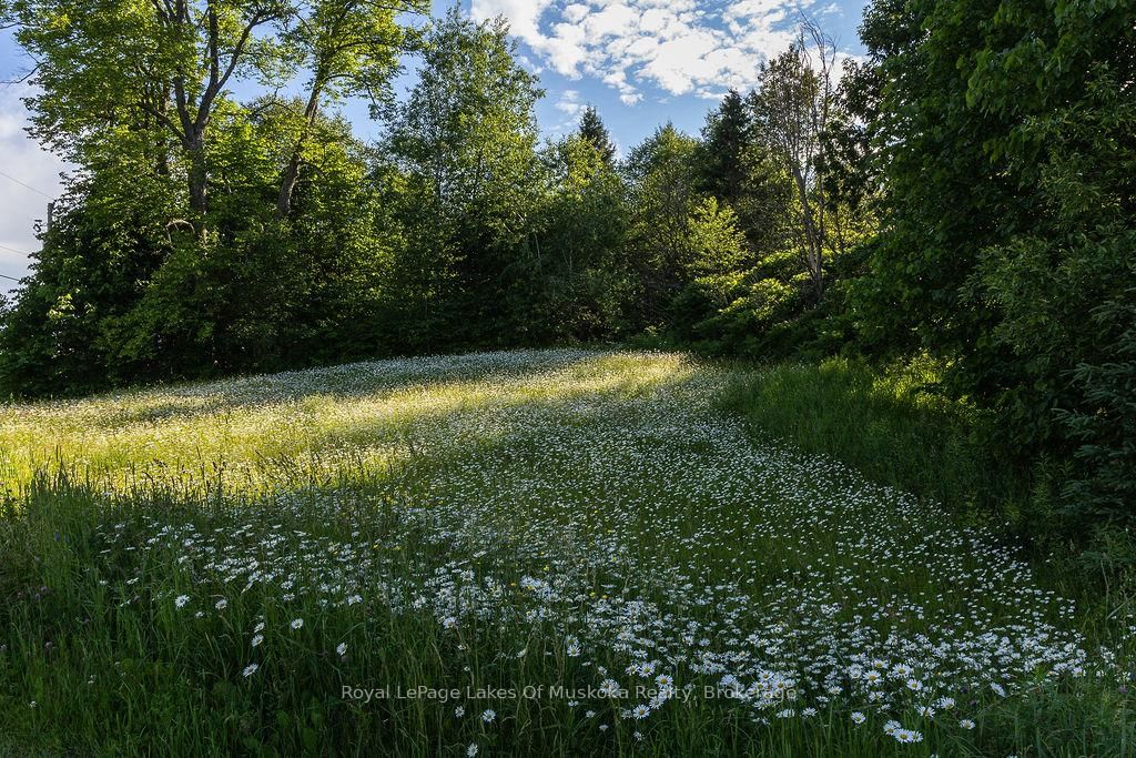 2245 Ahmic Lake Road • Magnetawan, ON photo 25