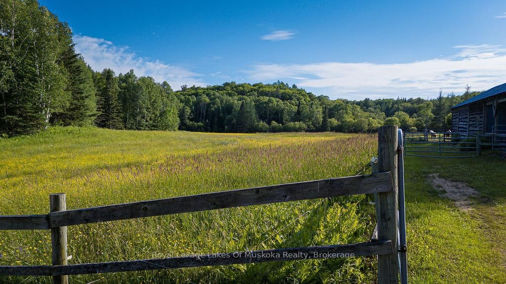 2245 Ahmic Lake Road • Magnetawan, ON photo 29