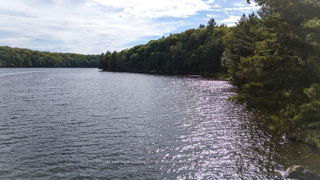 2245 Ahmic Lake Road • Magnetawan, ON photo 41