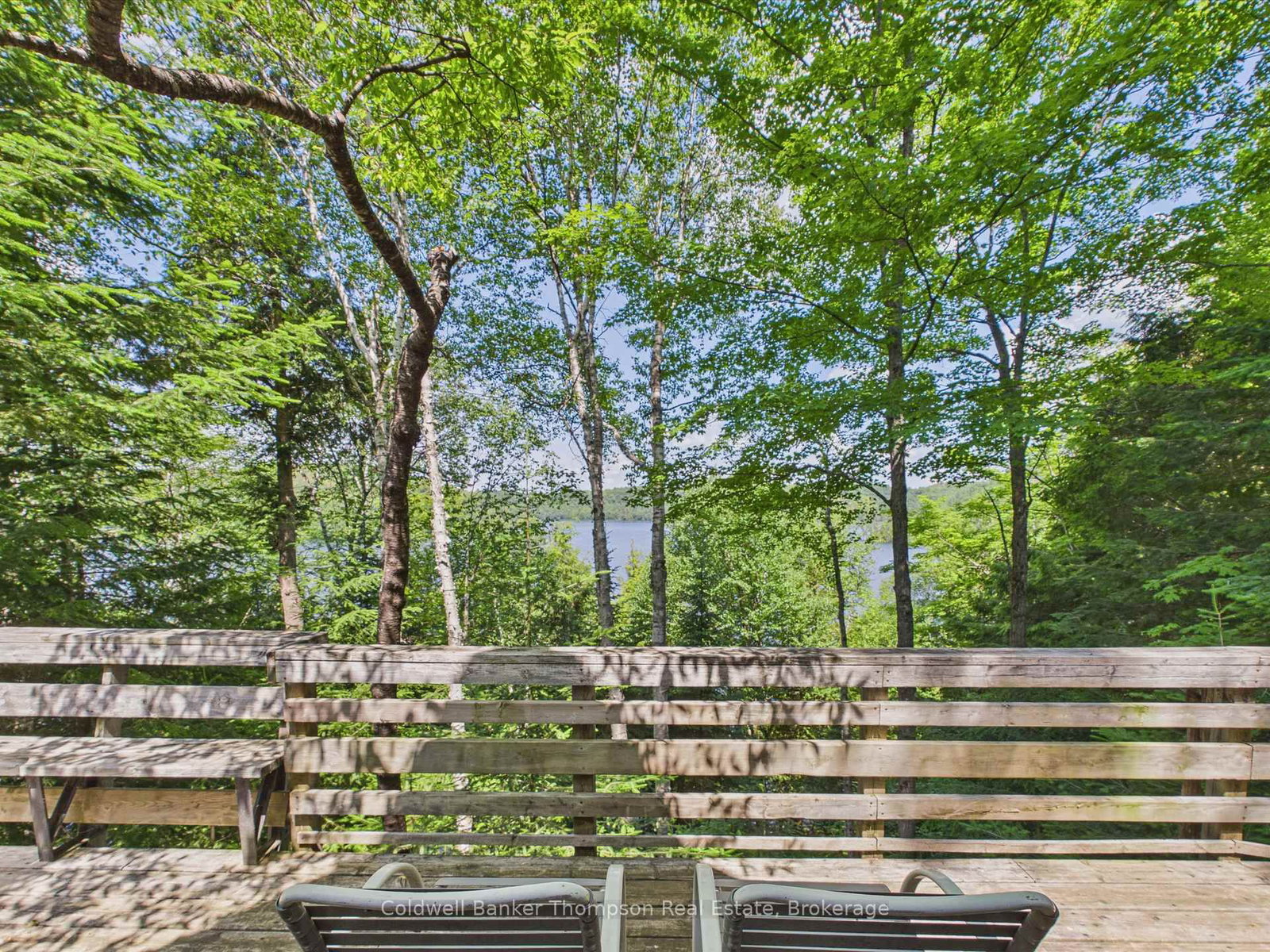 393 A Loon Lake Road • Kearney, ON photo 24