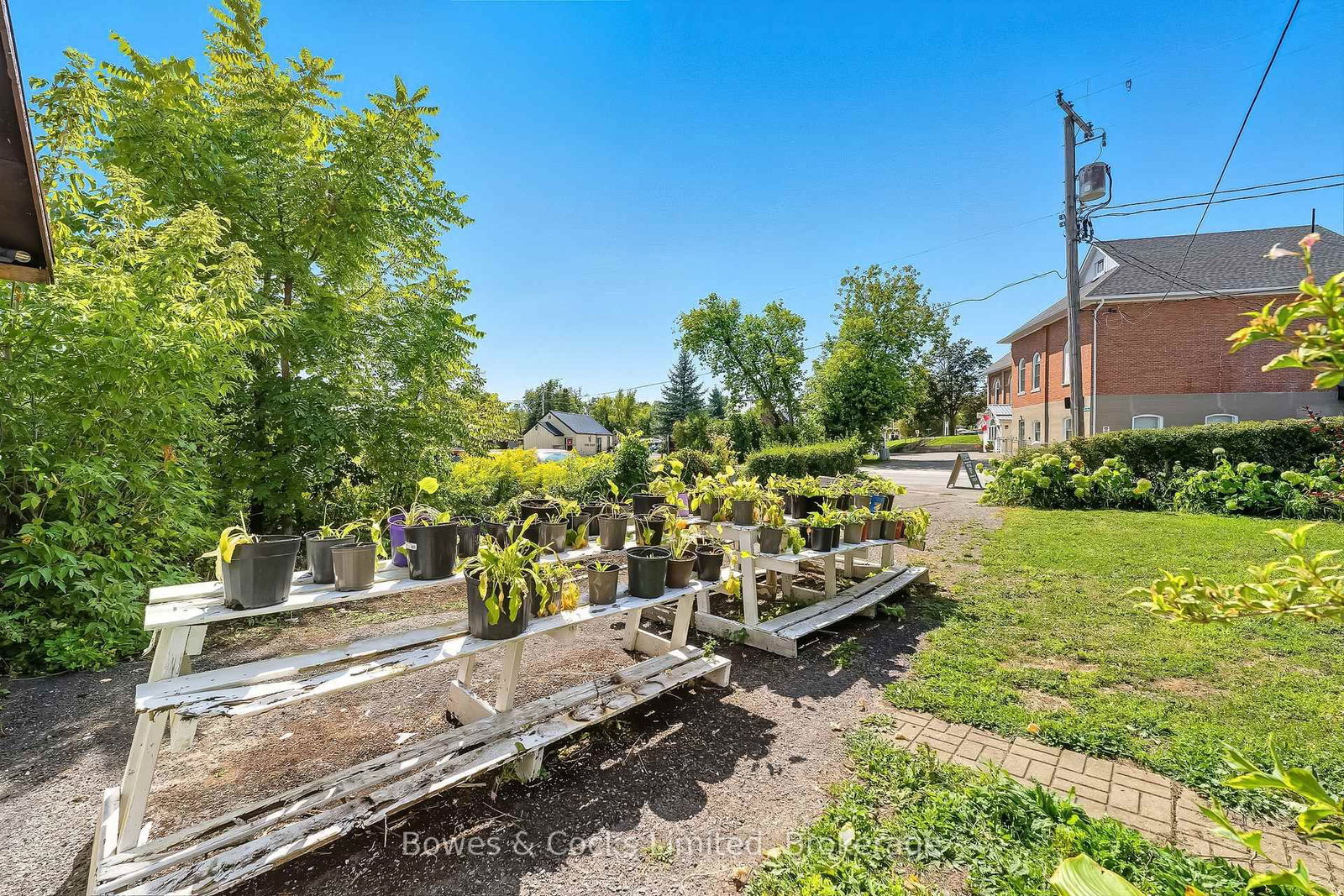 40 Victoria Street • Asphodel-Norwood, ON photo 10