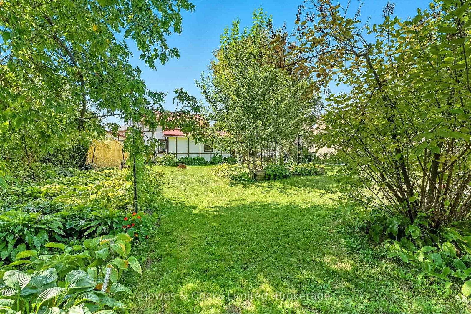 40 Victoria Street • Asphodel-Norwood, ON photo 34