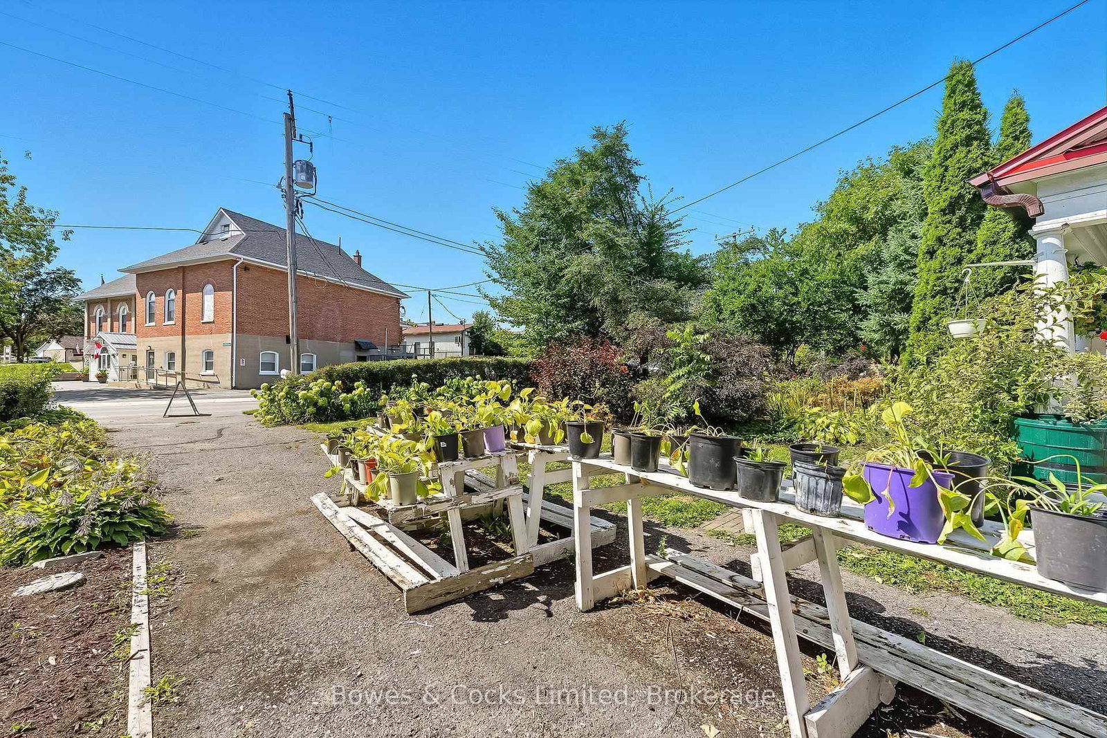 40 Victoria Street • Asphodel-Norwood, ON photo 9