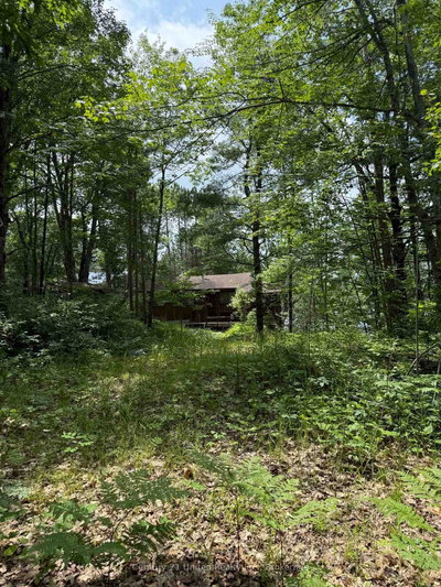 620 Fire Route 83 — photo 3