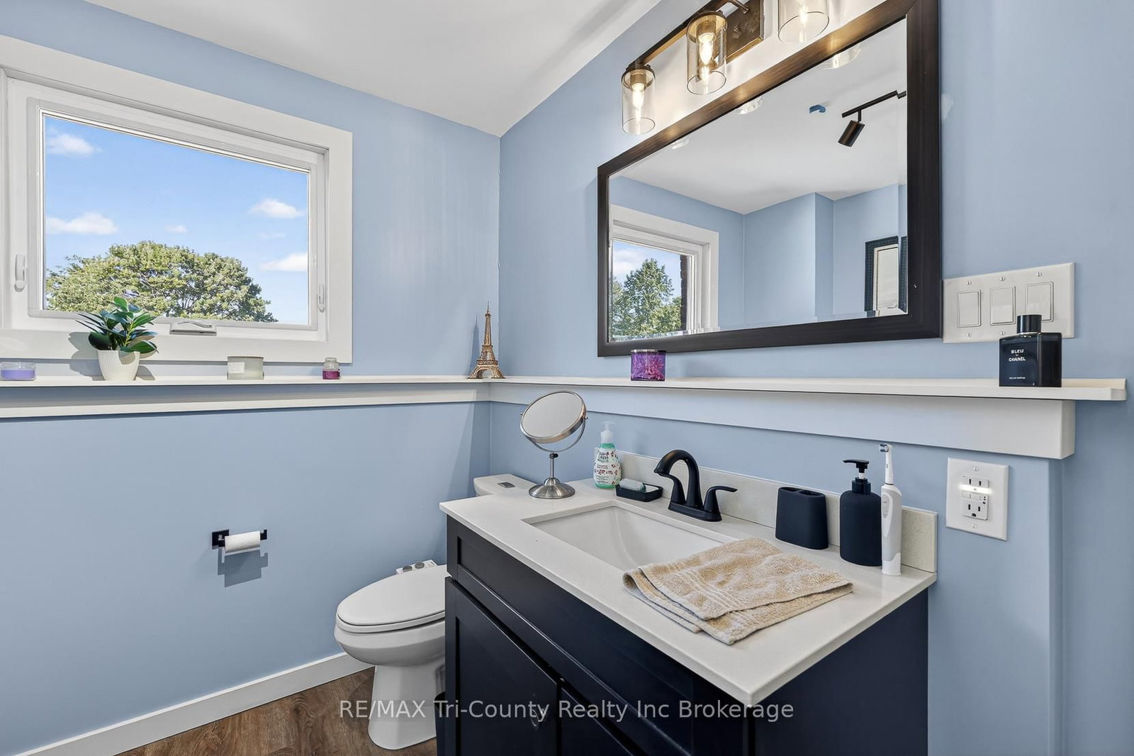 335 Broadway Street • Tillsonburg, ON photo 19