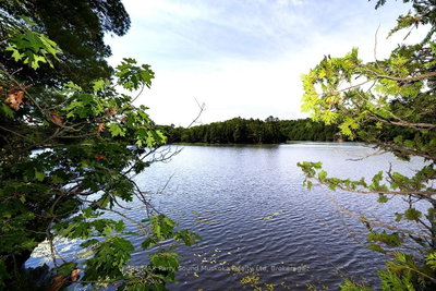 509 Horseshoe Lake WA (Bear Lane) — more photos