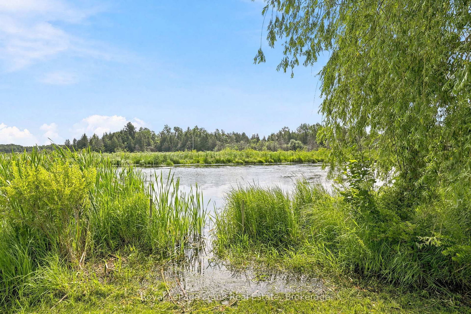 128 River Road • Kawartha Lakes, ON photo 43