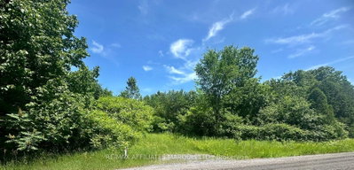4891 Proctor Road