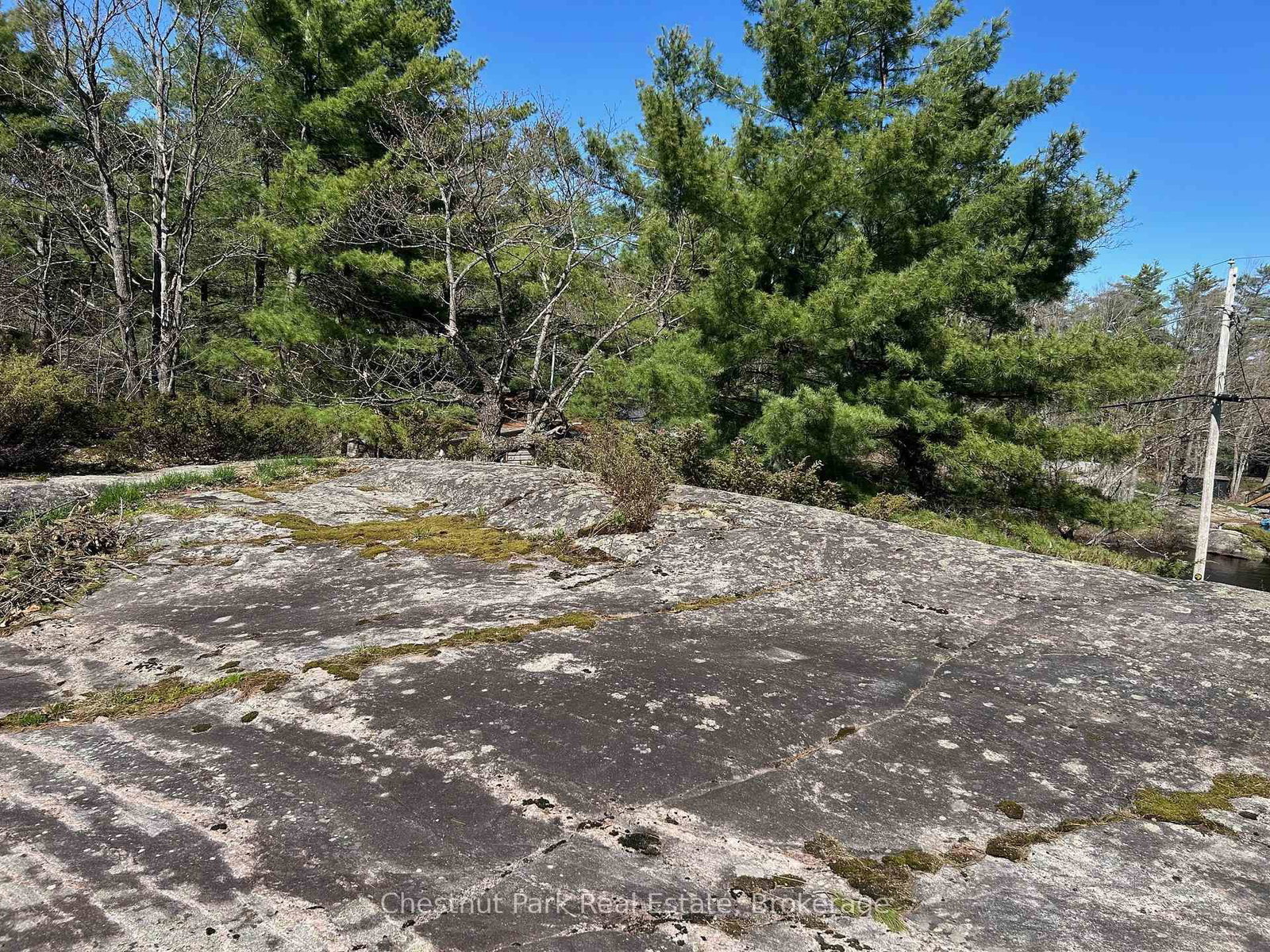 1051- 1 & 2 WIGWAM LODGE Road • Gravenhurst, ON photo 23