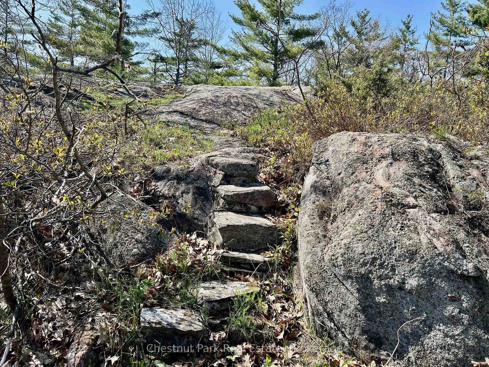 1051- 1 & 2 WIGWAM LODGE Road • Gravenhurst, ON photo 26