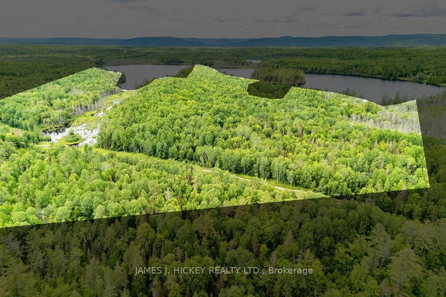 299 KO LODGE TRAIL Road