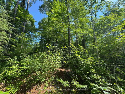 7 Bourbonnaise Island • Parry Sound Remote Area, ON photo 9