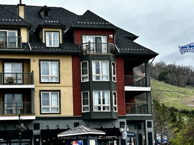 156 Jozo Weider Boulevard • #449 • Blue Mountains, ON photo 2