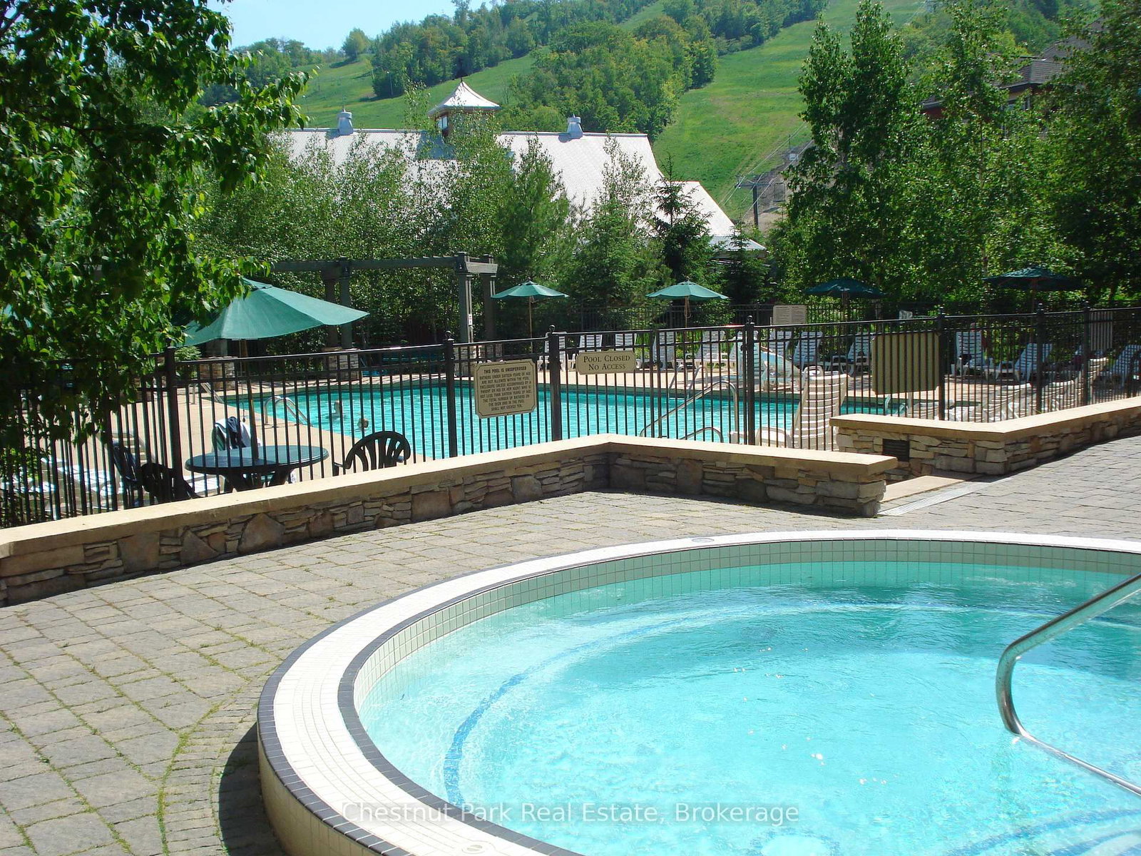 156 Jozo Weider Boulevard • #449 • Blue Mountains, ON photo 30