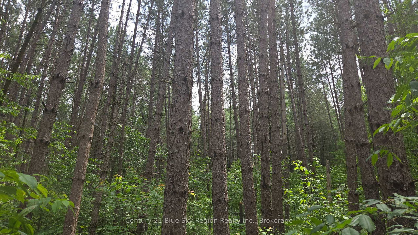 Pt Lt 28 Con 10 Chiswick Line • Chisholm, ON photo 4