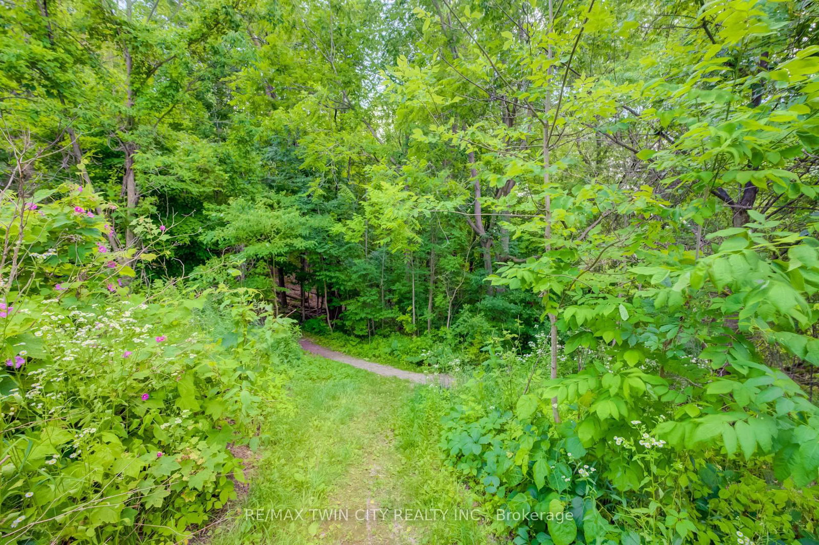 569 Violet Street • Waterloo, ON photo 30