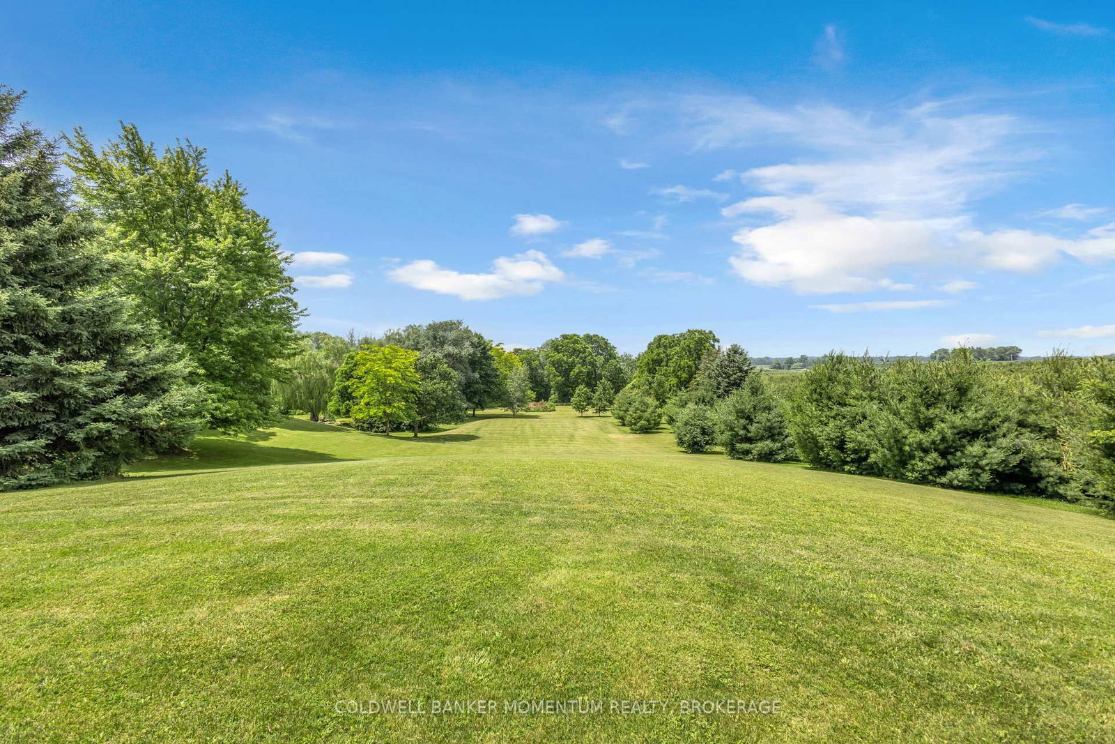 1285 Cockshutt Road, R.R. # 4 Road • Norfolk, ON photo 42