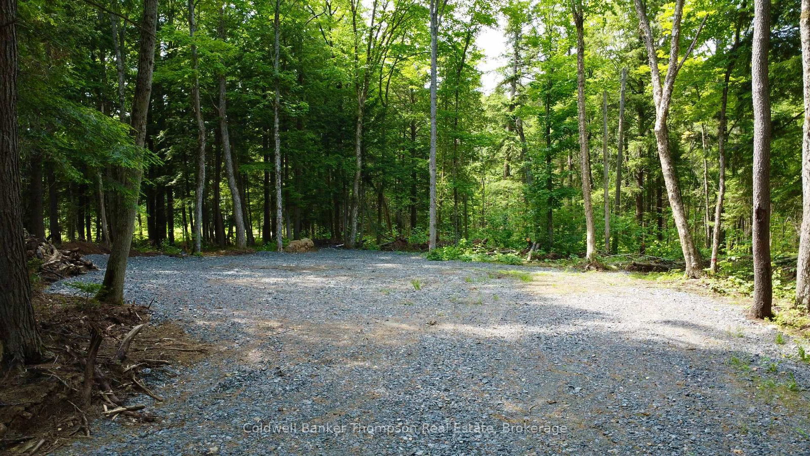 50 Concession 2 And 3 West Road W • Huntsville, ON photo 2