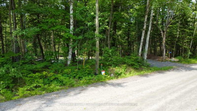 50 Concession 2 And 3 West Road W • Huntsville, ON photo 5