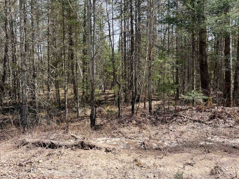0 LOT 3 Sand Hill Road