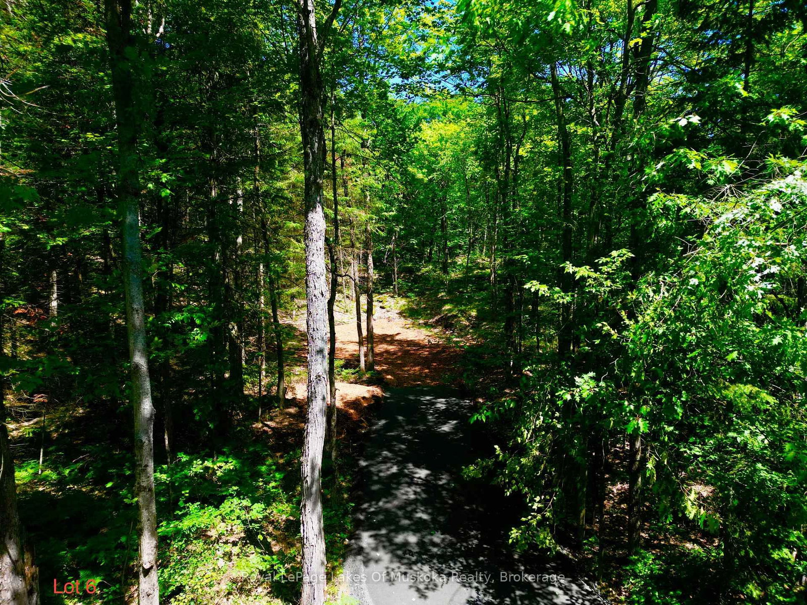 Lot 6 Fairy Falls, Lake of Bays, Ontario P0B 1A0