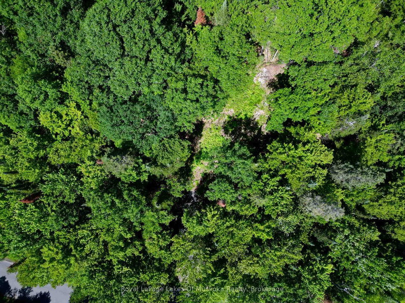 Lot 6 Fairy Falls Road