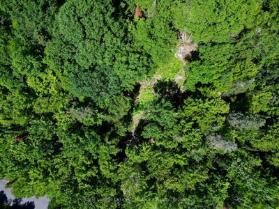 Lot 6 Fairy Falls Road • Lake of Bays, ON photo 3