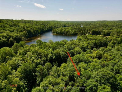Lot 6 Fairy Falls Road • Lake of Bays, ON photo 4