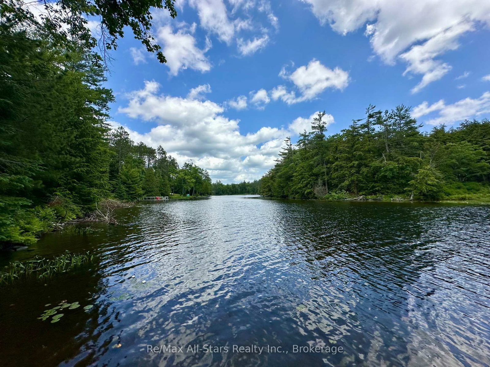 222 Mississagua Dam Road • Trent Lakes, ON photo 37