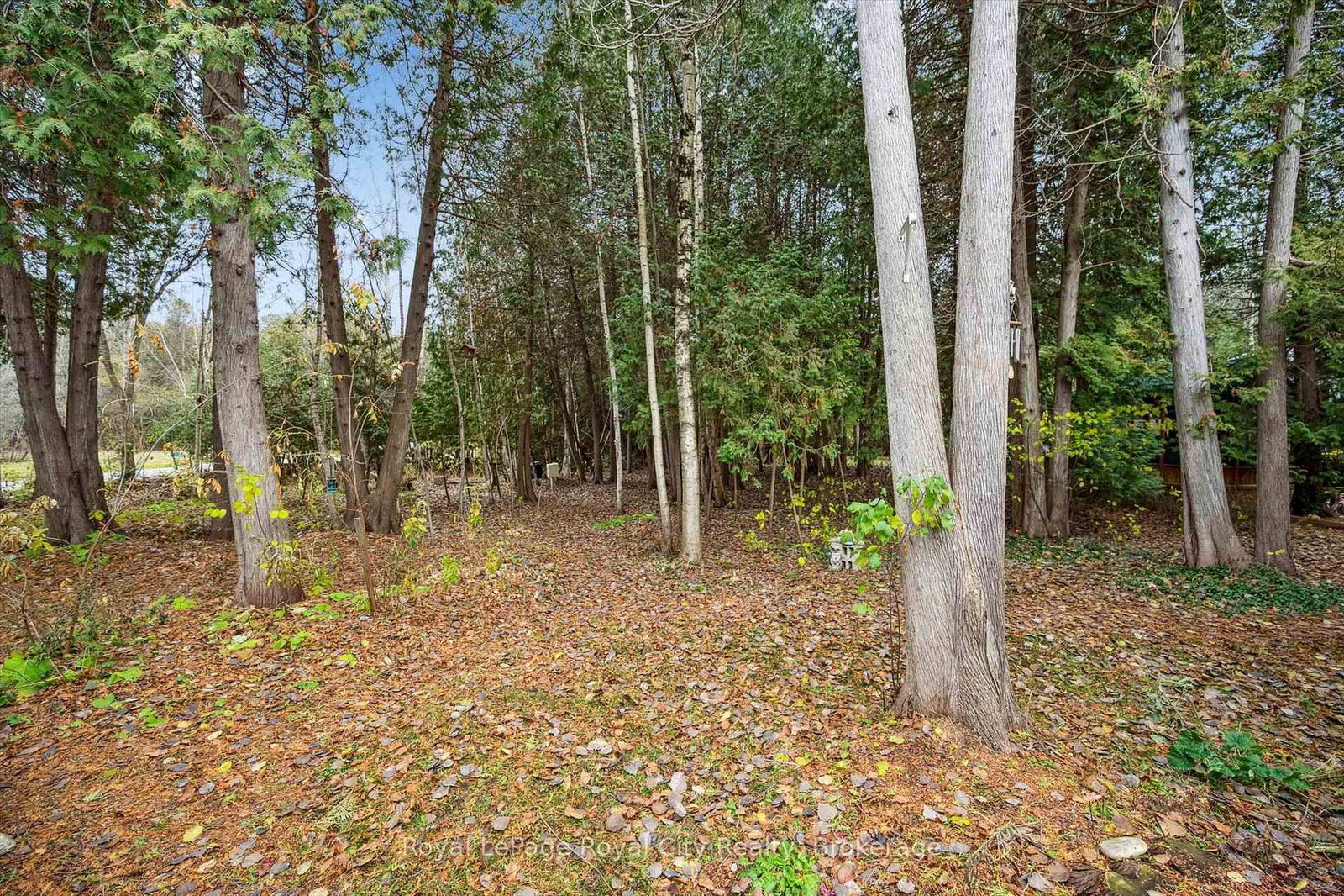 10 Spruce Avenue • Puslinch, ON photo 26