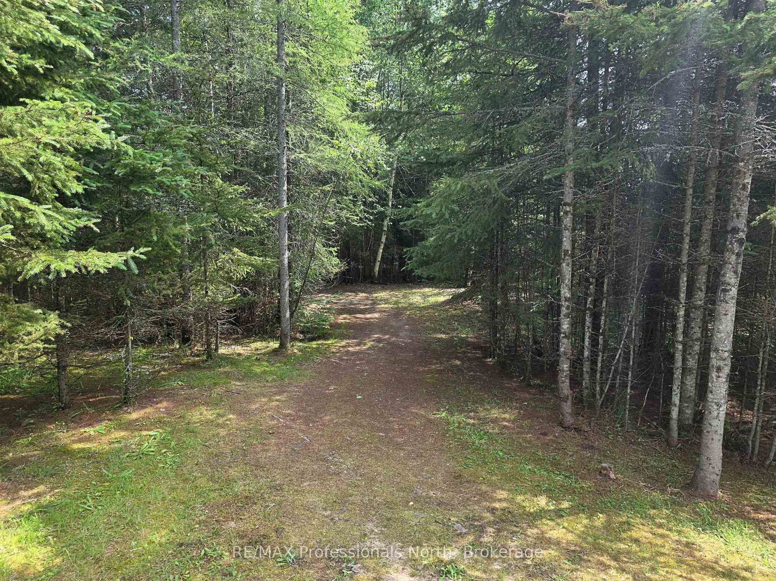 737 HILL AND GULLY Road • Ryerson, ON photo 22