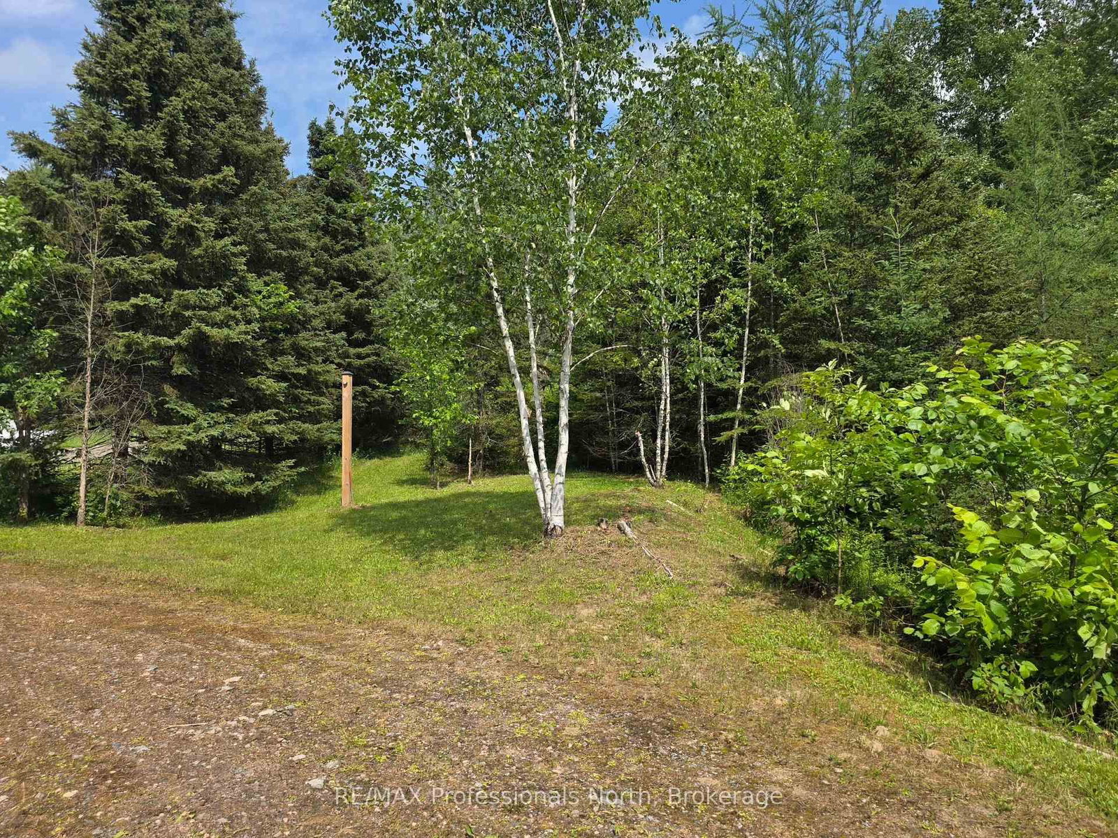 737 HILL AND GULLY Road • Ryerson, ON photo 41