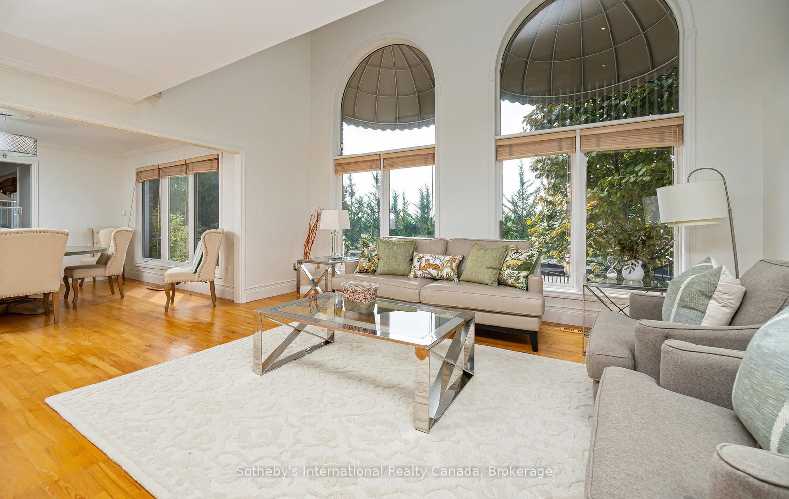 203 SKI HILL Road • Kawartha Lakes, ON photo 11