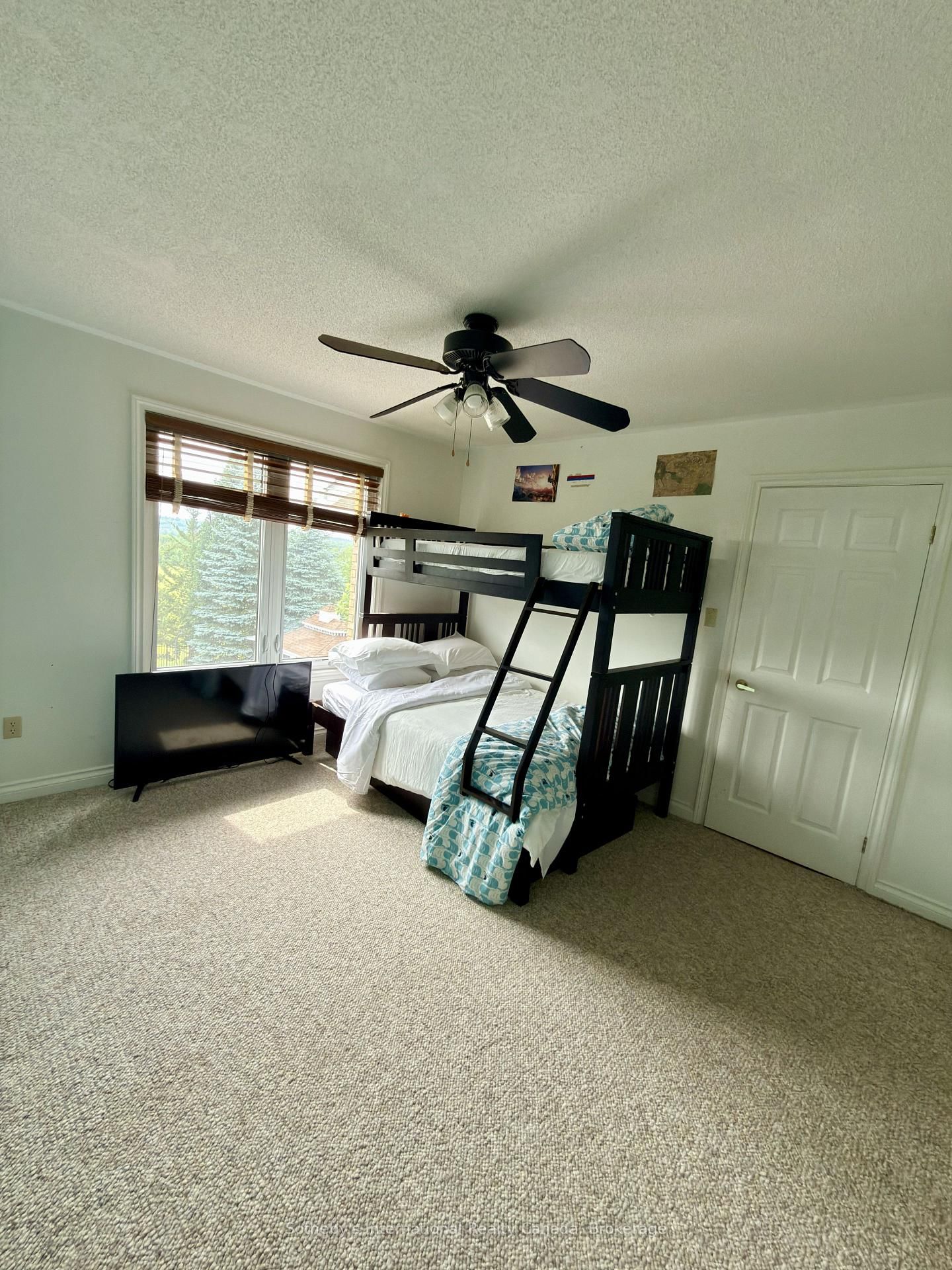 203 SKI HILL Road • Kawartha Lakes, ON photo 25
