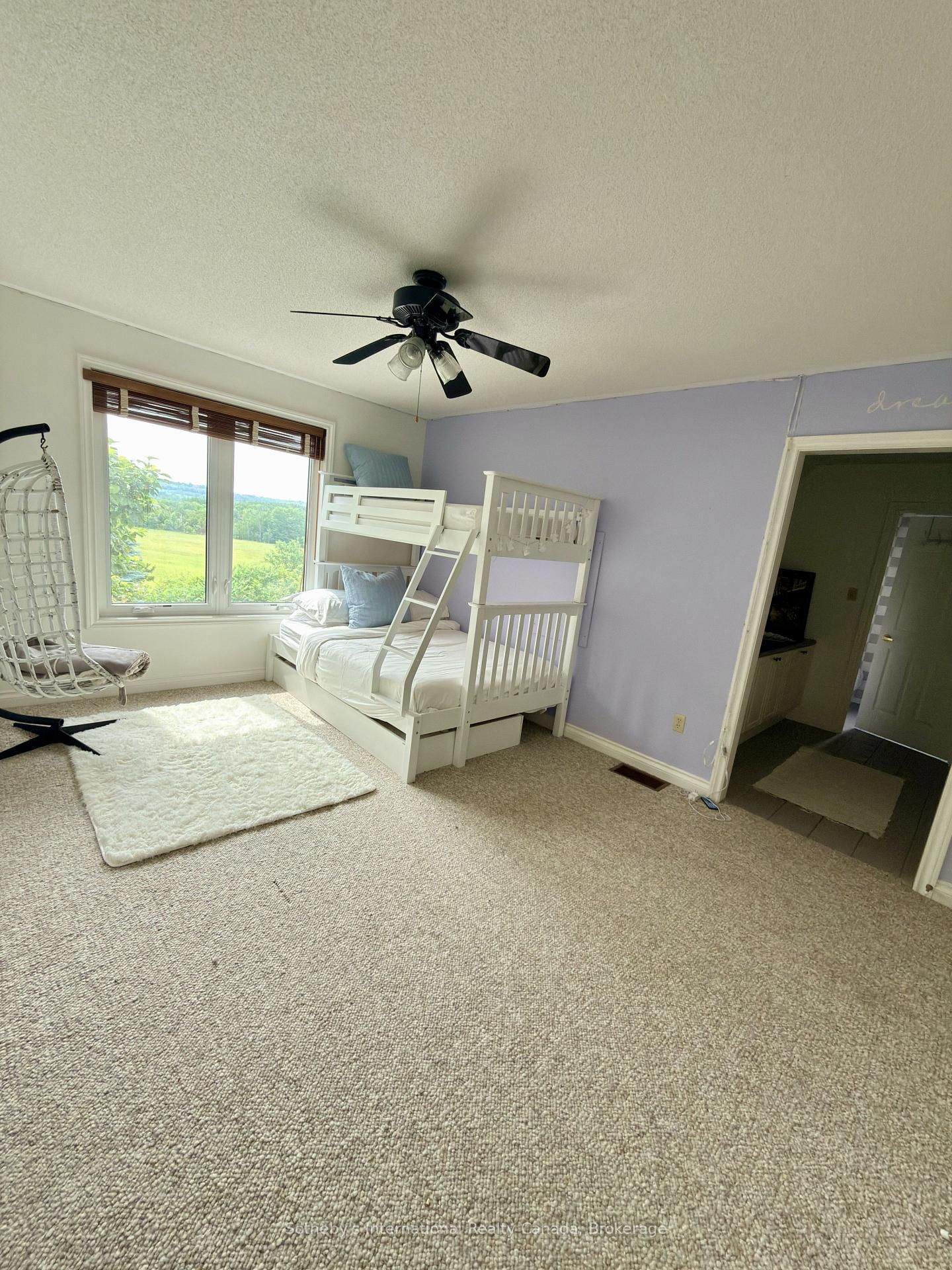 203 SKI HILL Road • Kawartha Lakes, ON photo 28