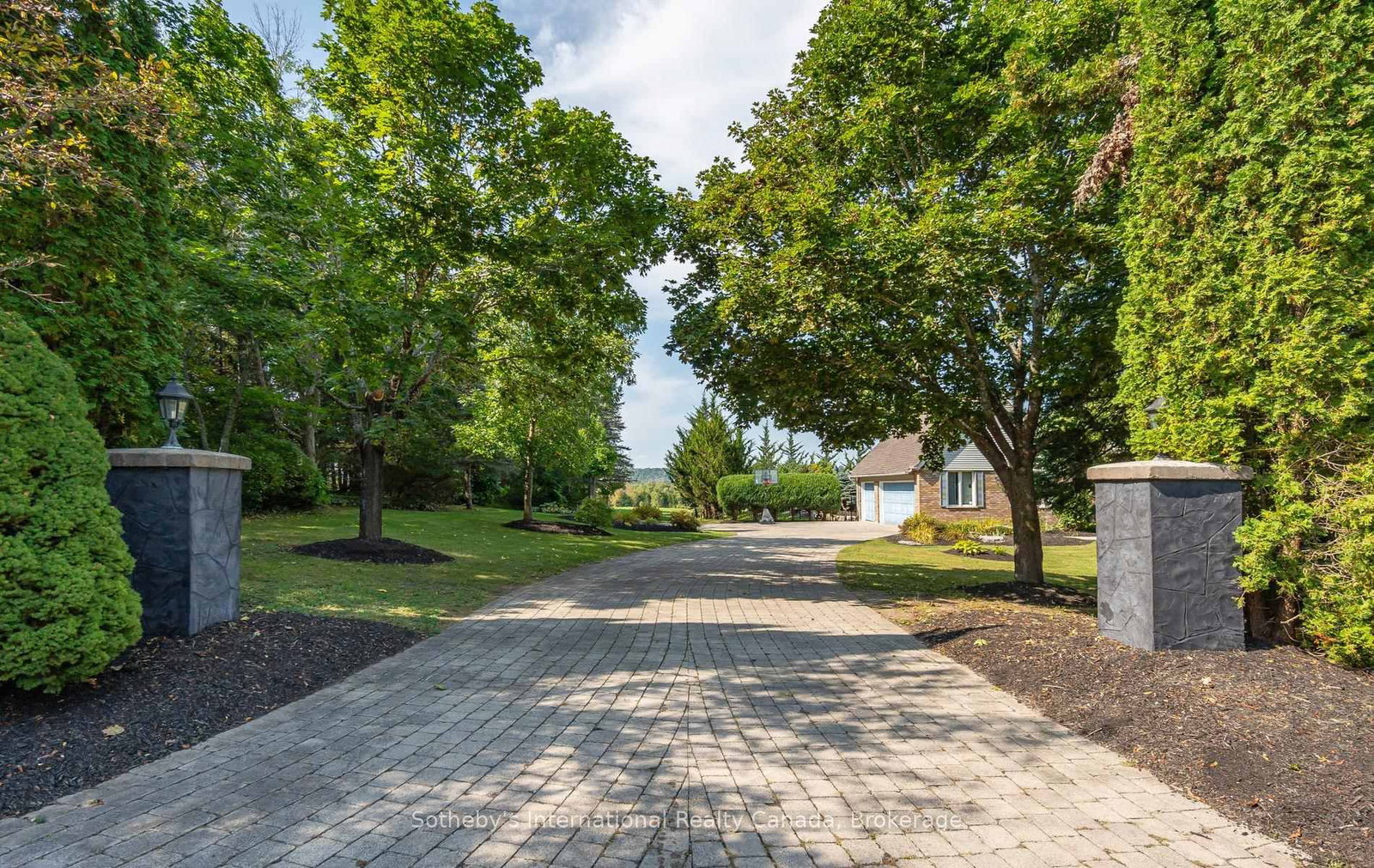 203 SKI HILL Road • Kawartha Lakes, ON photo 4