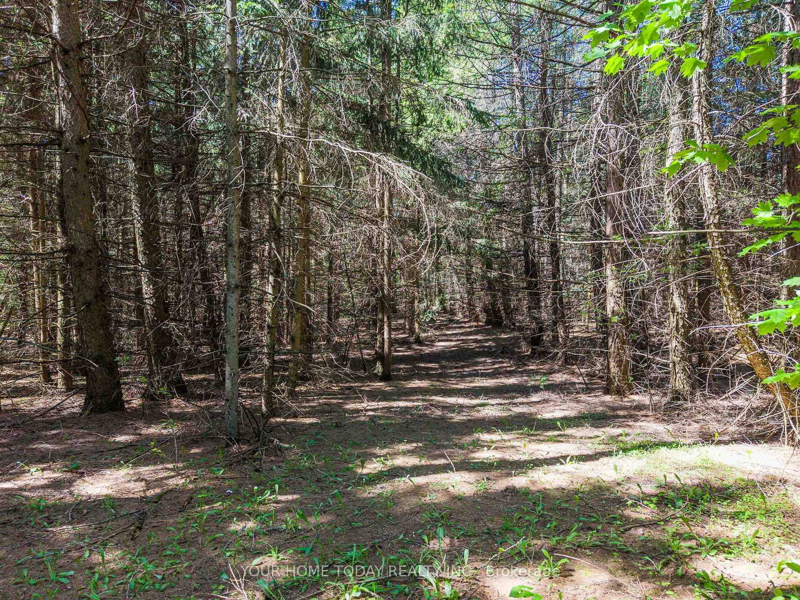 5214 Tenth Line • Erin, ON photo 39