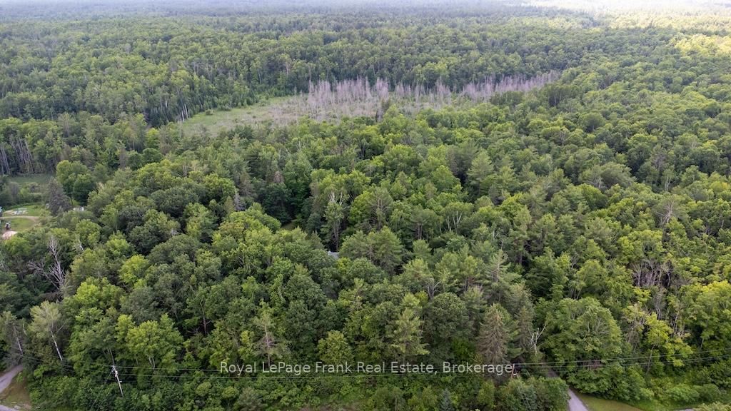 3719 County Rd 507 Road • Trent Lakes, ON photo 47