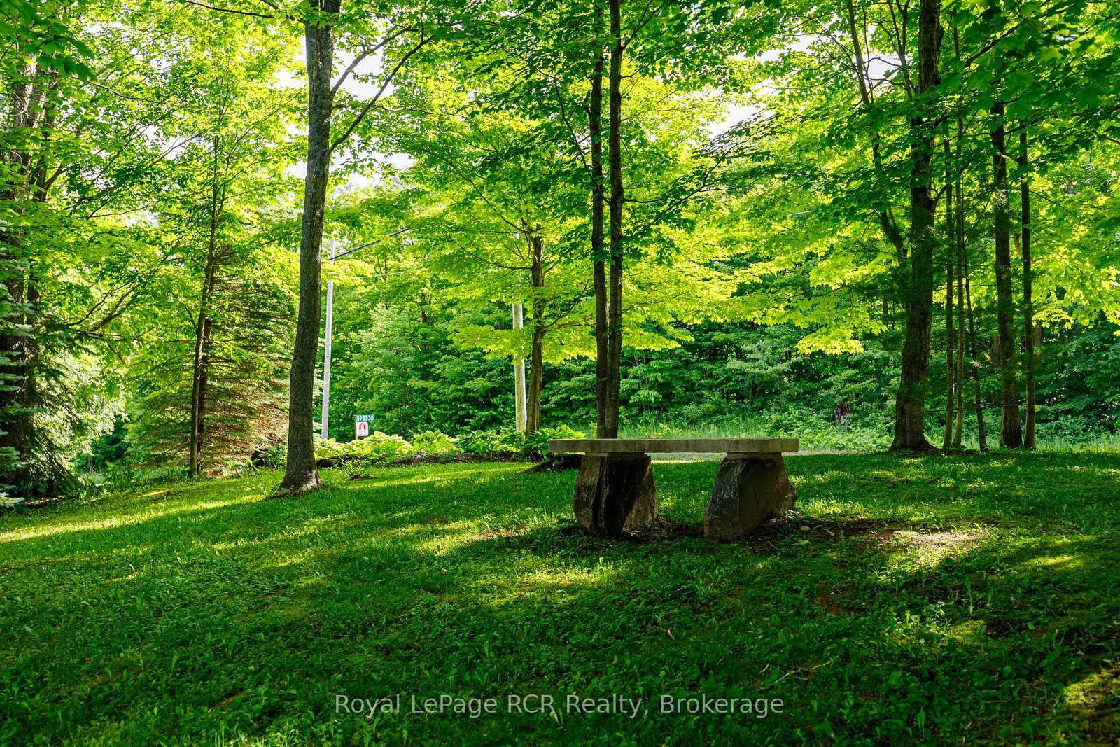 595530 4TH Line • Blue Mountains, ON photo 47