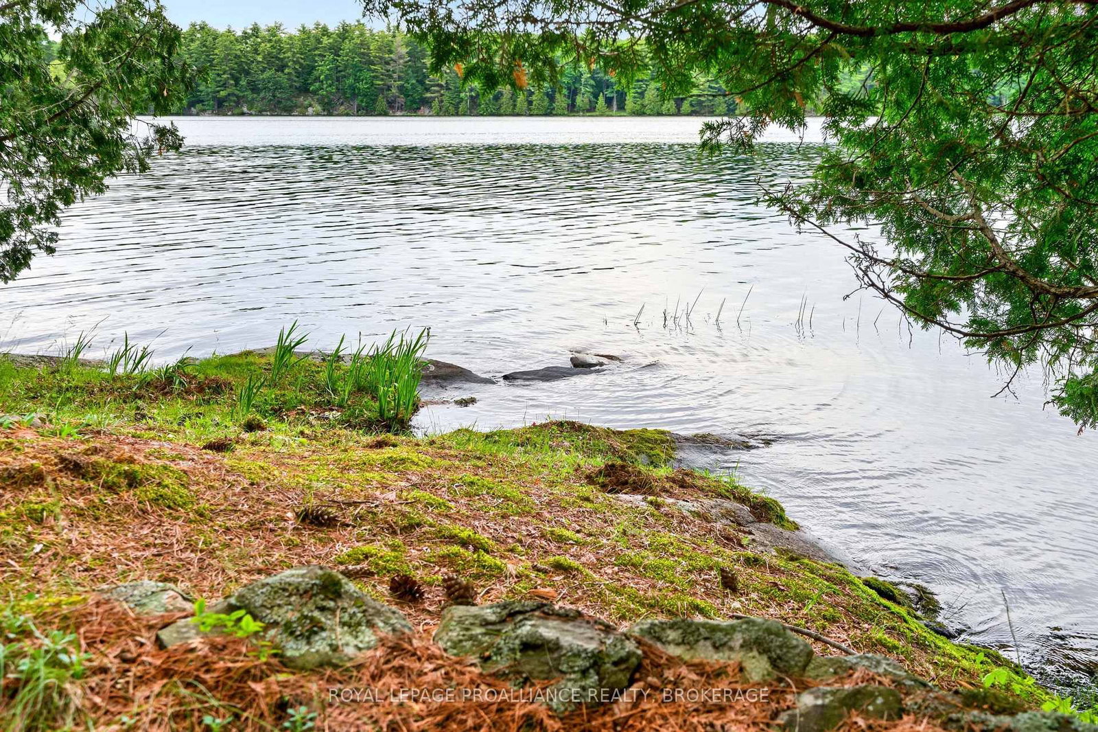 3 Scott Island • Rideau Lakes, ON photo 10